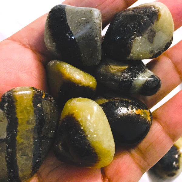 Septarian "Dragon Stone" Tumbled