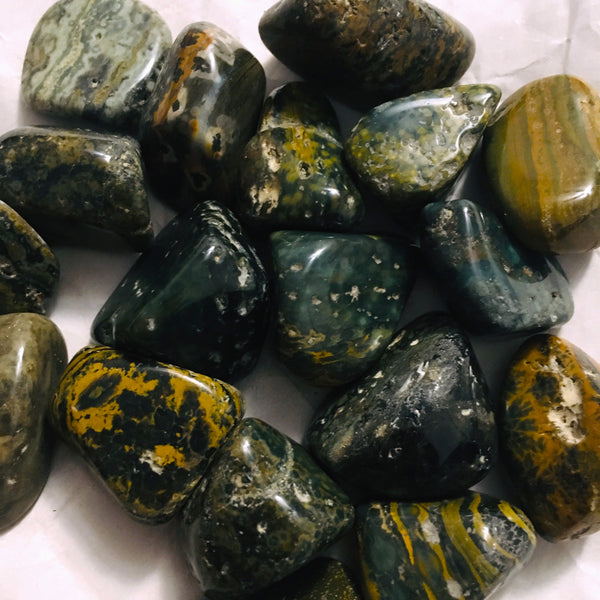 Orbicular Jasper Tumbled