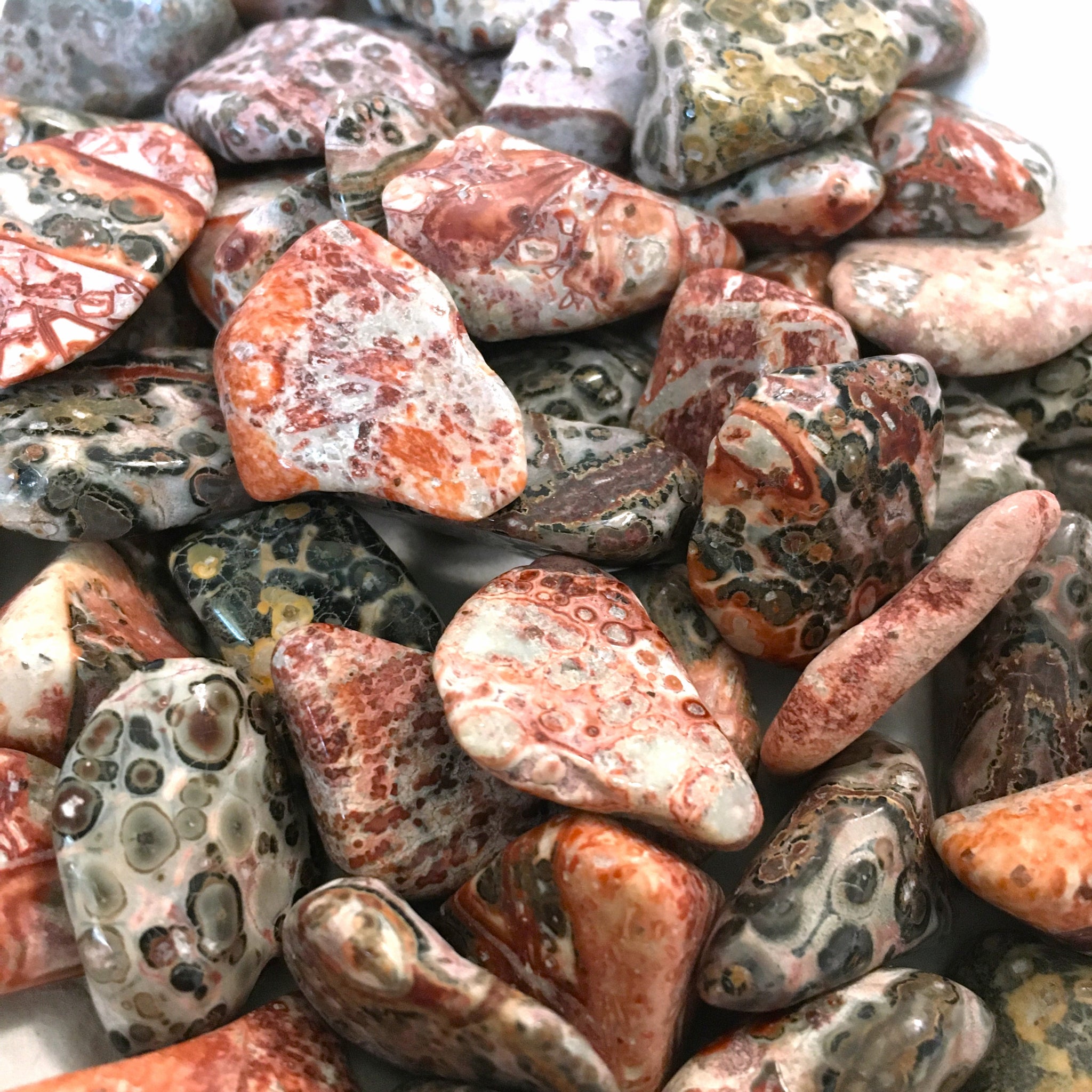 Leopard Jasper Tumbled