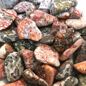 Leopard Jasper Tumbled