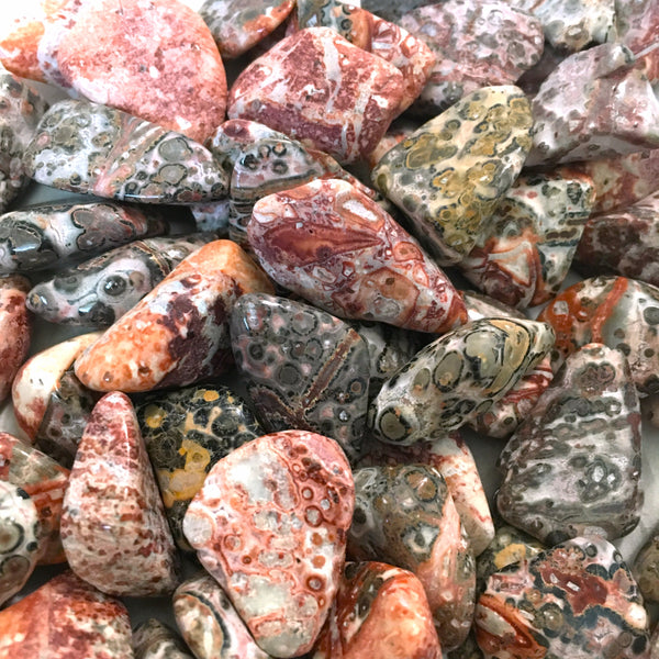 Leopard Jasper Tumbled