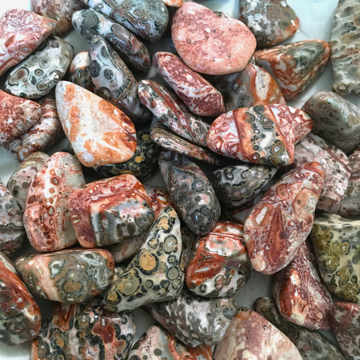 Leopard Jasper Tumbled – Five Sisters Crystals
