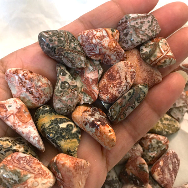 Leopard Jasper Tumbled