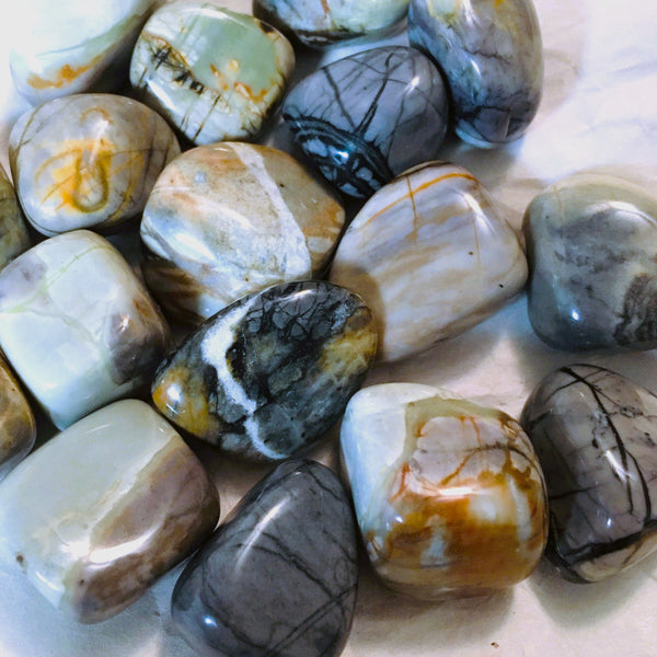 Picasso Jasper Tumbled