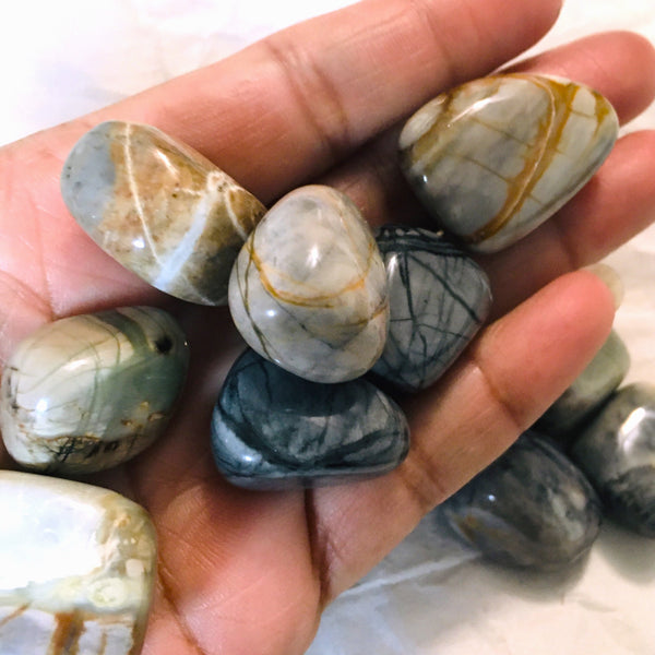 Picasso Jasper Tumbled