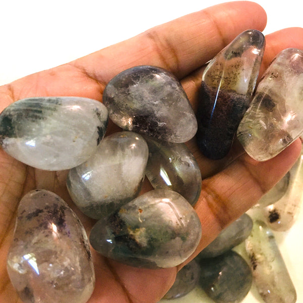 Chlorite Lodolite Tumbled
