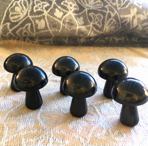 Shungite Mini Mushroom