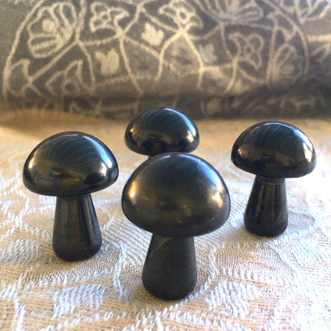 Shungite Mini Mushroom