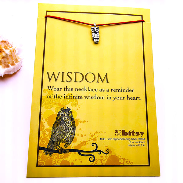 Bitsy WISDOM Owl necklace Sterling Silver Plated