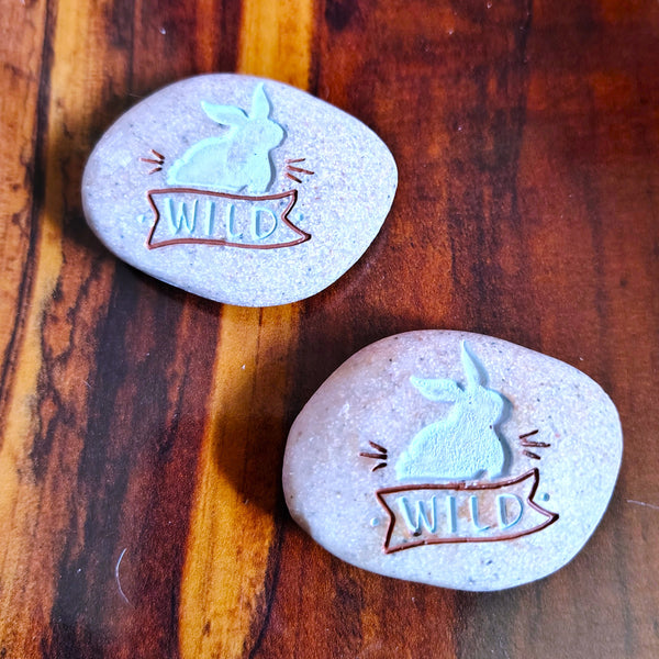 Expedition Stone "Life is a Grand Adventure - WILD" Kindness Rock