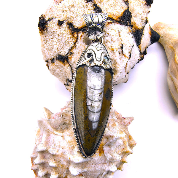Orthoceras Fossil Pendant Sterling Silver