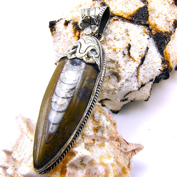 Orthoceras Fossil Pendant Sterling Silver