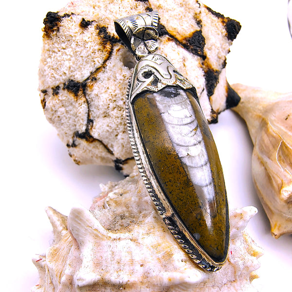 Orthoceras Fossil Pendant Sterling Silver