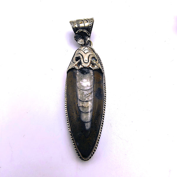 Orthoceras Fossil Pendant Sterling Silver