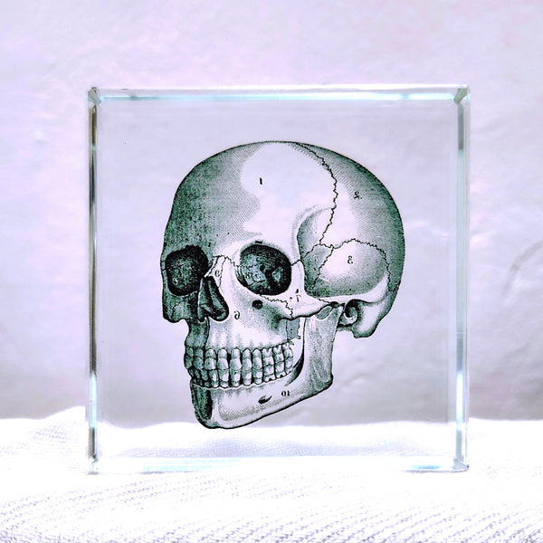 Glass Block Vintage Style Human Skull Illustration