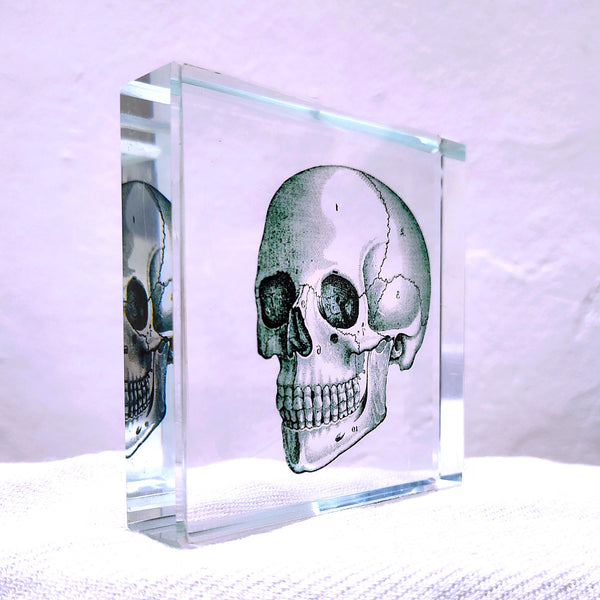 Glass Block Vintage Style Human Skull Illustration