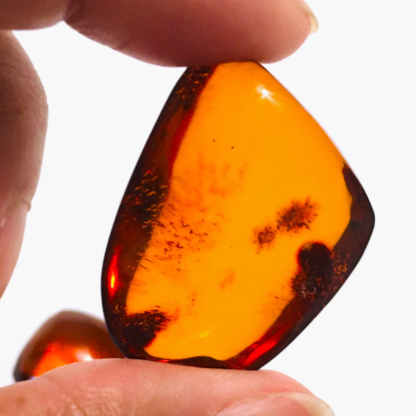 Amber Tumbled
