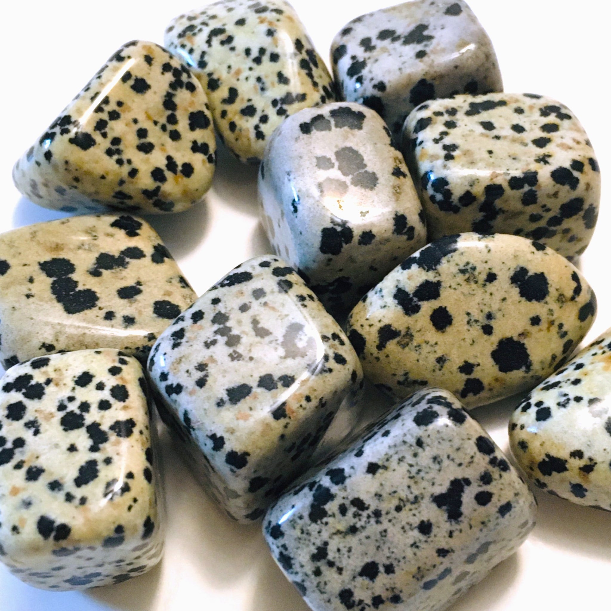 Dalmatian Jasper Tumbled