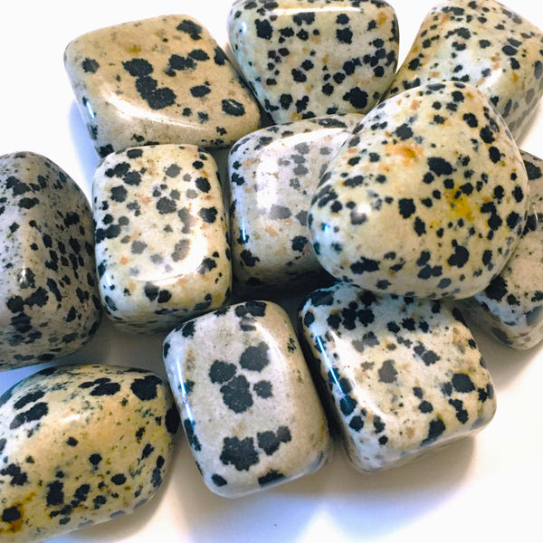 Dalmatian Jasper Tumbled