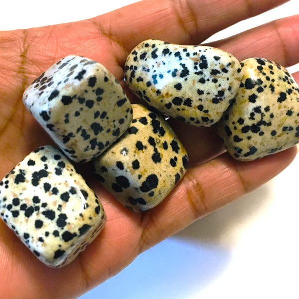 Dalmatian Jasper Tumbled