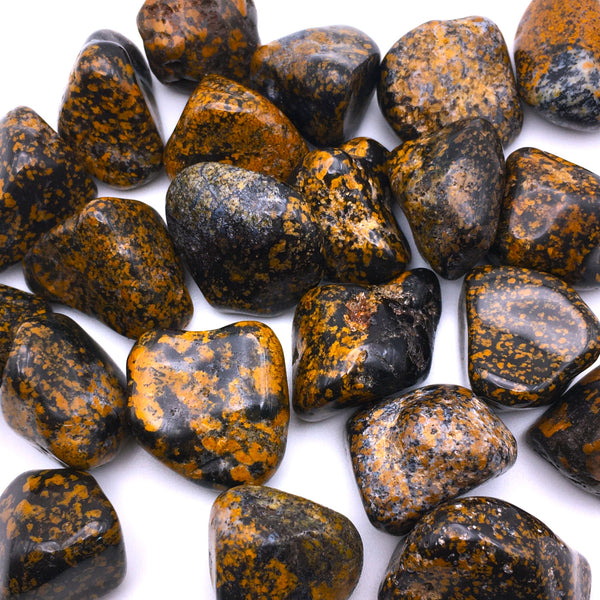 Yellow Dot Jasper Tumbled