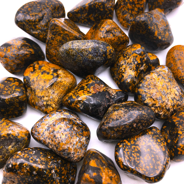 Yellow Dot Jasper Tumbled