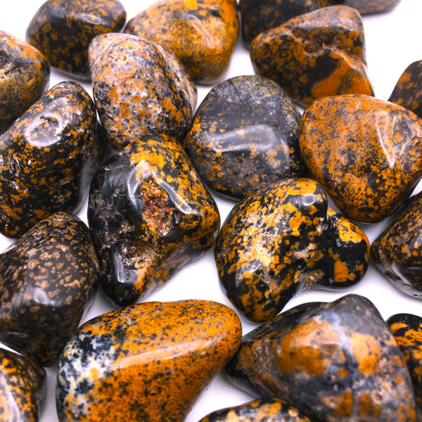 Yellow Dot Jasper Tumbled