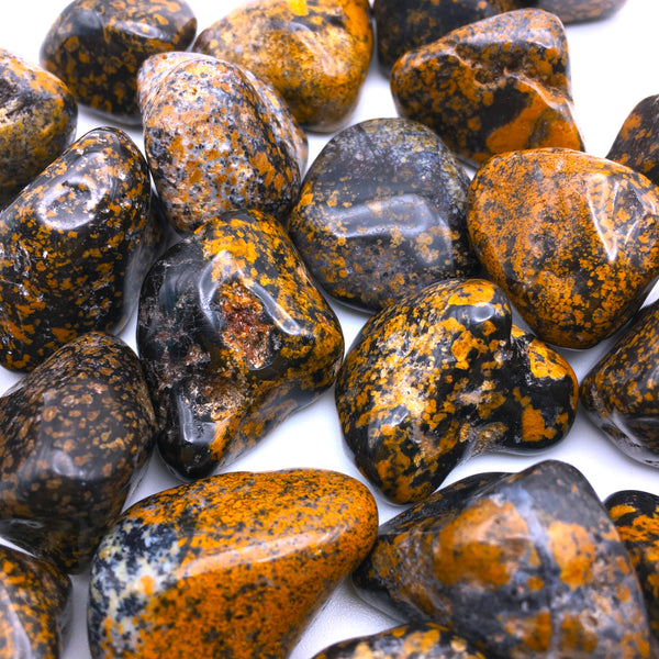 Yellow Dot Jasper Tumbled