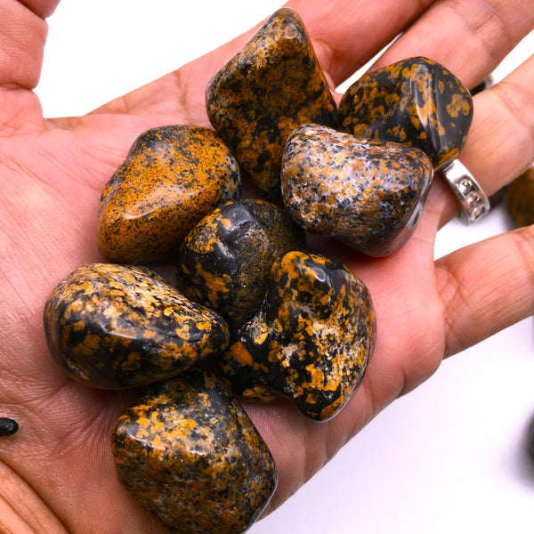 Yellow Dot Jasper Tumbled