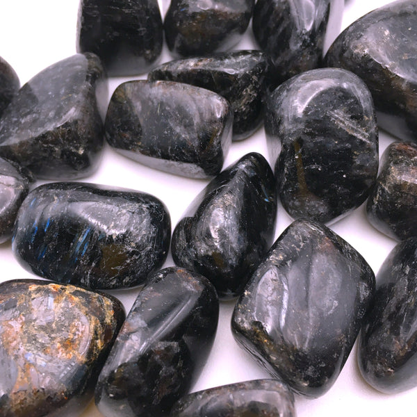 Astrophyllite Tumbled