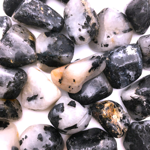 Black Tourmaline Rutilated Quartz Tumbled
