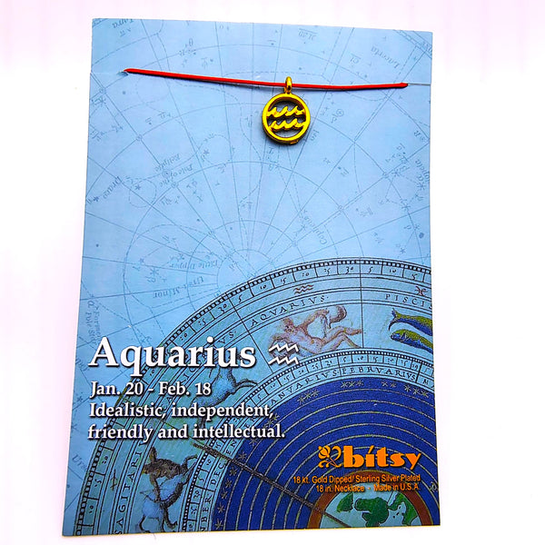 Bitsy Zodiac Aquarius Pendant Necklace Gold Dipped