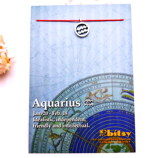 Bitsy Zodiac Aquarius Pendant Necklace Sterling Silver Plated