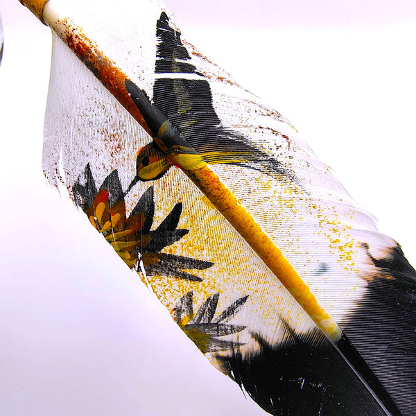 Feather Hand Painted Hummingbird Smudging White and Black