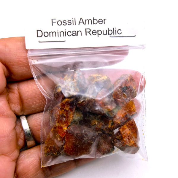Fossil Amber Raw small bag Dominican Republic
