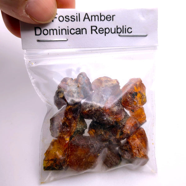 Fossil Amber Raw small bag Dominican Republic