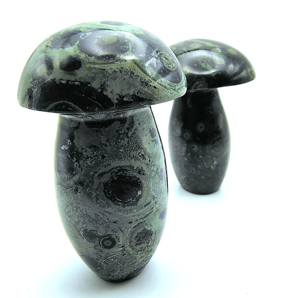 Kambaba Jasper Mushroom Crystal Tumbled 3"