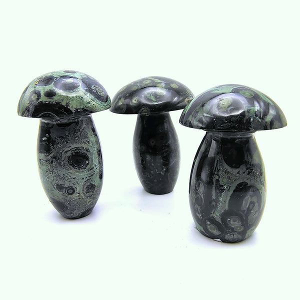 Kambaba Jasper Mushroom Crystal Tumbled 3"