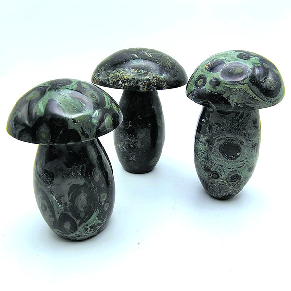 Kambaba Jasper Mushroom Crystal Tumbled 3"