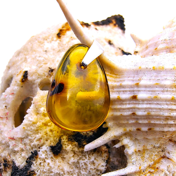 Natural Baltic Amber Pendant Sterling Silver