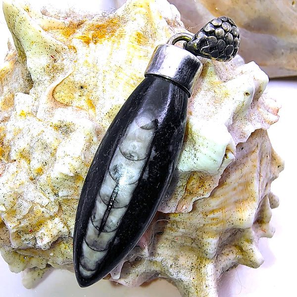 Orthoceras Fossil Pendant Sterling Silver