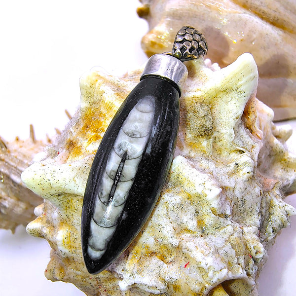 Orthoceras Fossil Pendant Sterling Silver