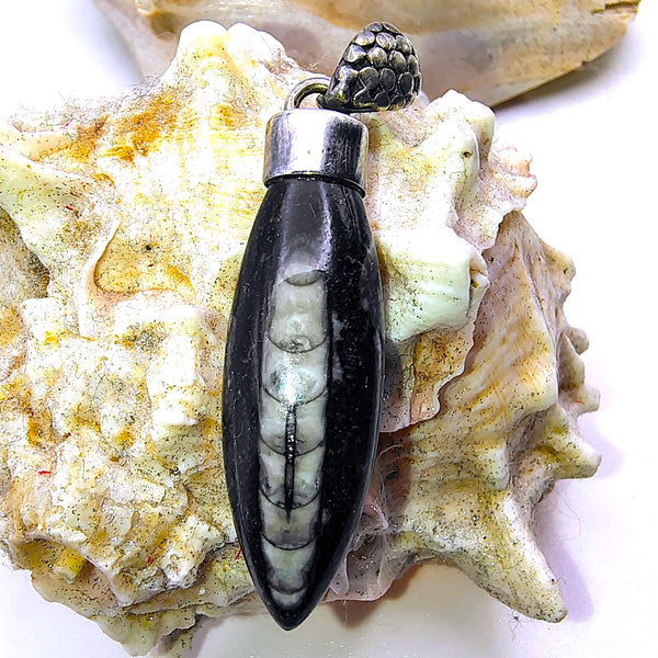 Orthoceras Fossil Pendant Sterling Silver
