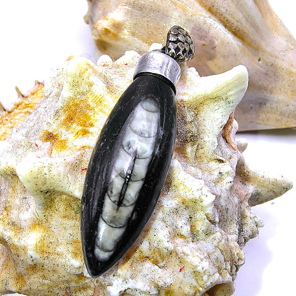 Orthoceras Fossil Pendant Sterling Silver