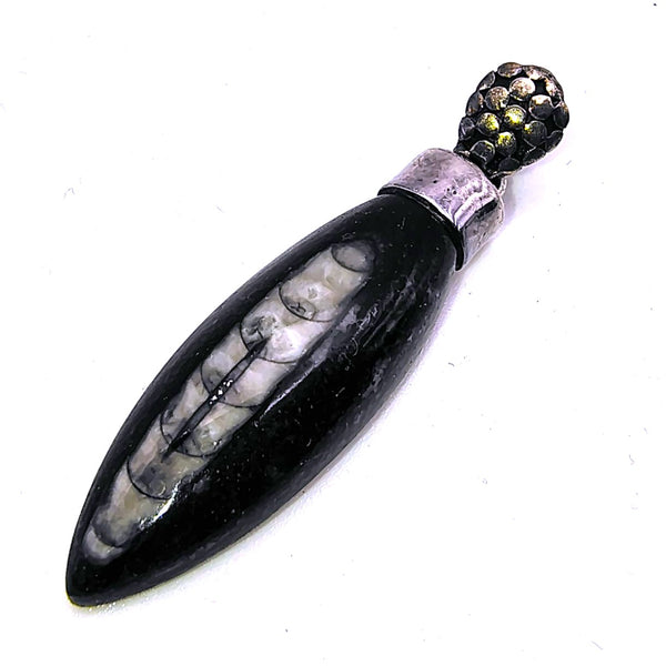 Orthoceras Fossil Pendant Sterling Silver