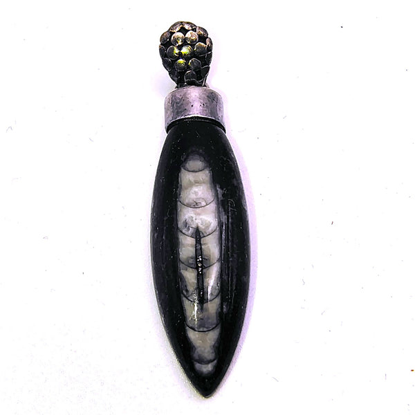 Orthoceras Fossil Pendant Sterling Silver