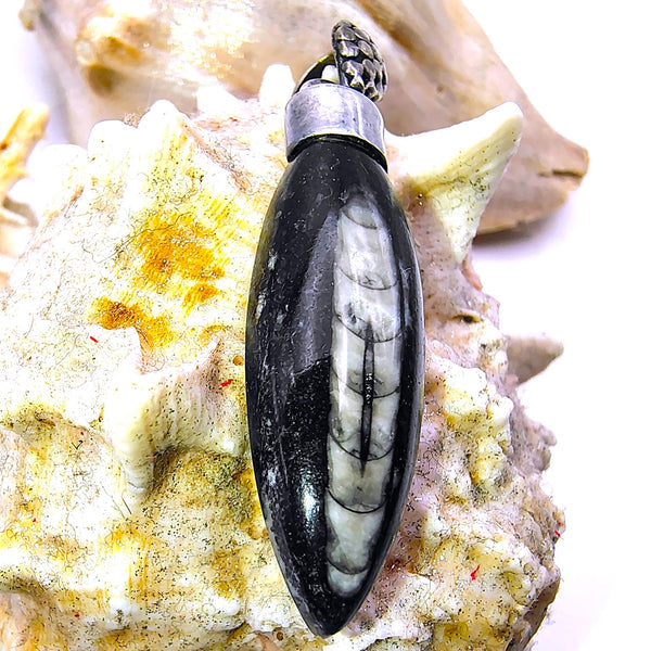 Orthoceras Fossil Pendant Sterling Silver