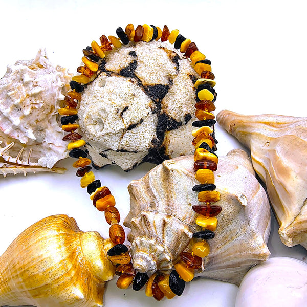 Multi-color Baltic Amber chip 13" choker necklace
