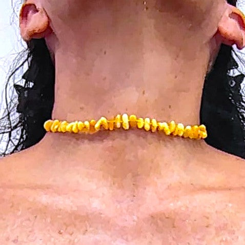 Baltic Amber yellow "egg yolk" beads 13.6" choker necklace