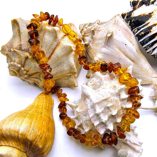 Baltic Amber Multi-color beads 12.5" choker necklace